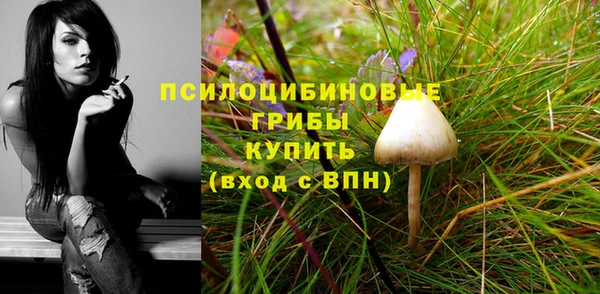 ешки Алексеевка