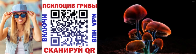 как найти наркотики  Юрьев-Польский  kraken ССЫЛКА  Псилоцибиновые грибы Psilocybe 